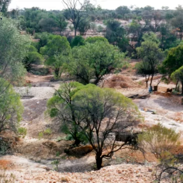 A PROSPECTORS GUIDE TO OPAL IN WESTERN QUEENSLAND 1966