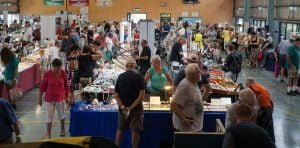 Gem Mineral Shows February 2025