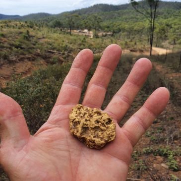 Gold in Queensland