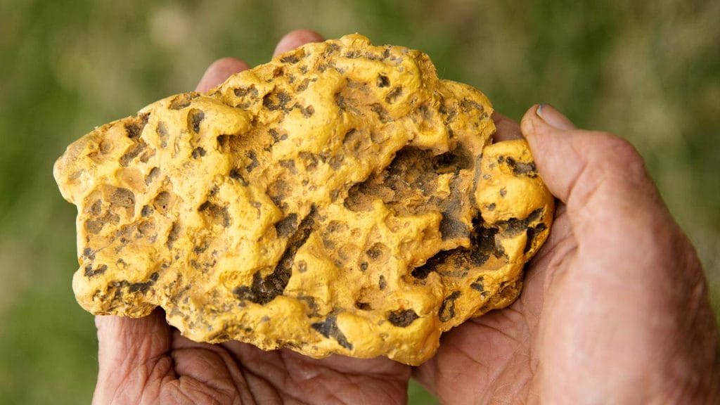 The Australian Gold Rush, a period of frenzied excitement and unprecedented change, irrevocably shaped the nation we know today.