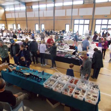 Devonport Lapidary Club Show 2025