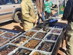 The Yowah Opal Festival 2025, scheduled for July 18th to 20th,  look into the world of opals in Outback Queensland.