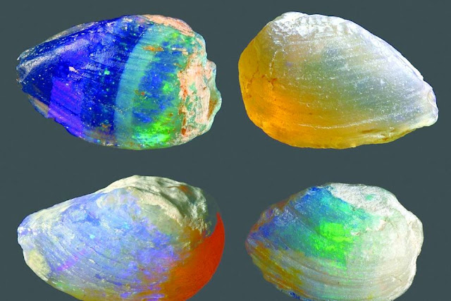 The opal is the National Gemstone of Australia. Australia currently produces approximately 95 per cent of the world’s precious opal and probably has almost all of the world’s opal reserves.