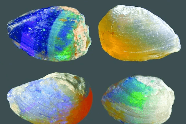 The Ancient Foundation of Australian Opal and the Eromanga Seaauthored by @jamesdumar.com | Identity: did:plc:7vknci6jk2jqfwsq6gkzu